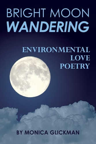 Bright Moon Wandering Environmental Love Poetry