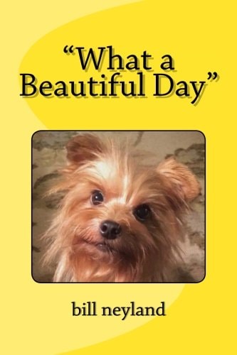 "What a Beautiful Day"