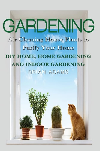 Gardening Air-Cleaning House Plants to Purify Your Home - DIY Home, Home Gardening and Indoor Gardening
