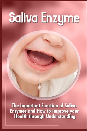 Saliva Enzymes The Important Function Of Saliva Enzymes And How To Improve Your Health Through Understanding