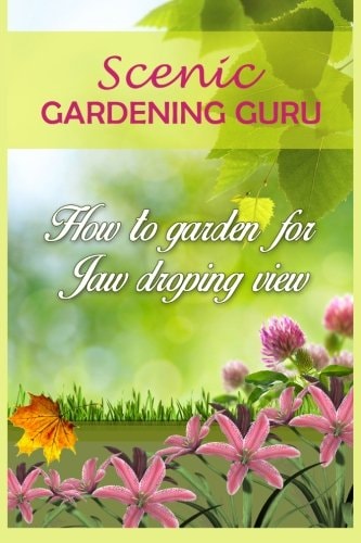 Scenic Gardening Guru How To Garden For Jaw Dropping Views