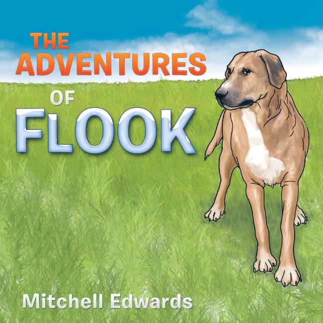 THE ADVENTURES OF FLOOK