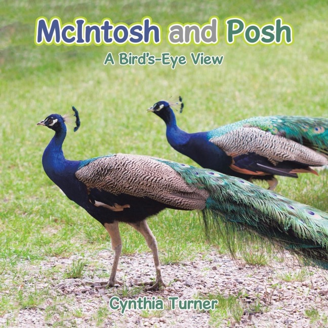 McIntosh and Posh: A Birds-Eye View