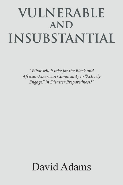Vulnerable and Insubstantial: What Will It Take?