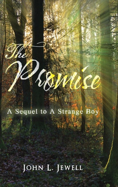 The Promise: A Sequel to A Strange Boy