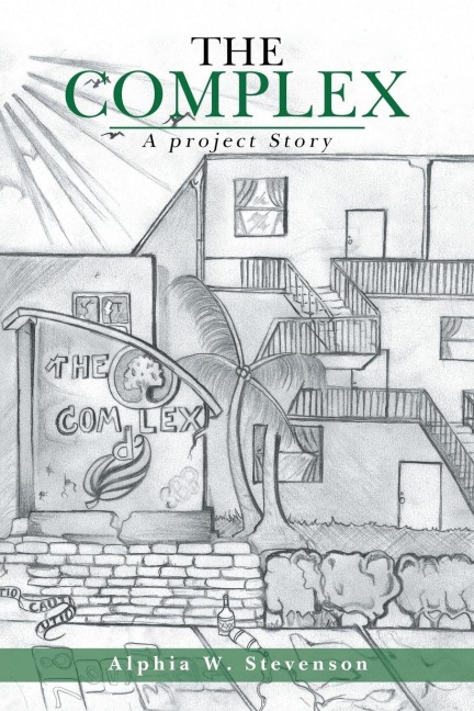 The Complex: A Project Story