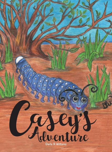 Caseys Adventure