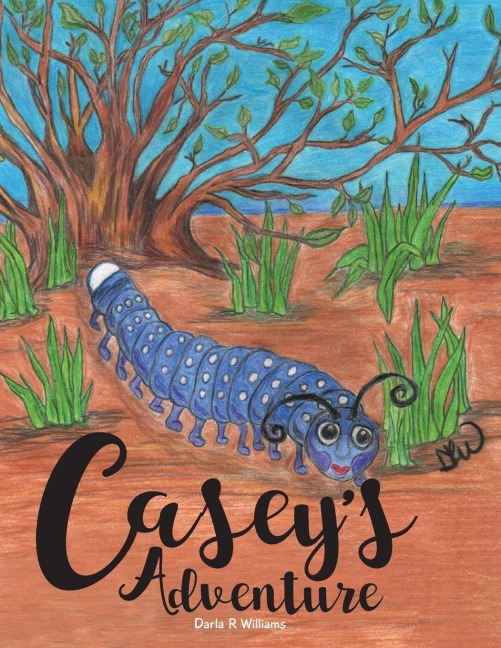 Caseys Adventure