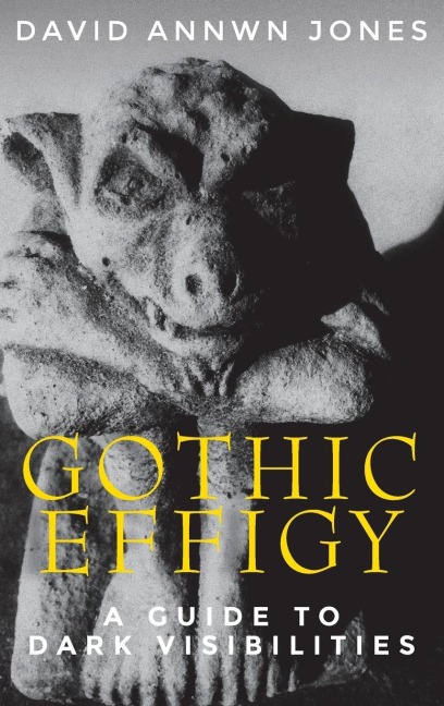 Gothic effigy: A guide to dark visibilities