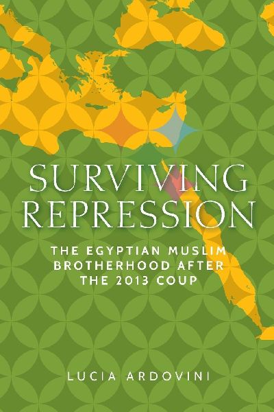 Surviving repression: The Egyptian Muslim Brotherhood after the 2013 coup
