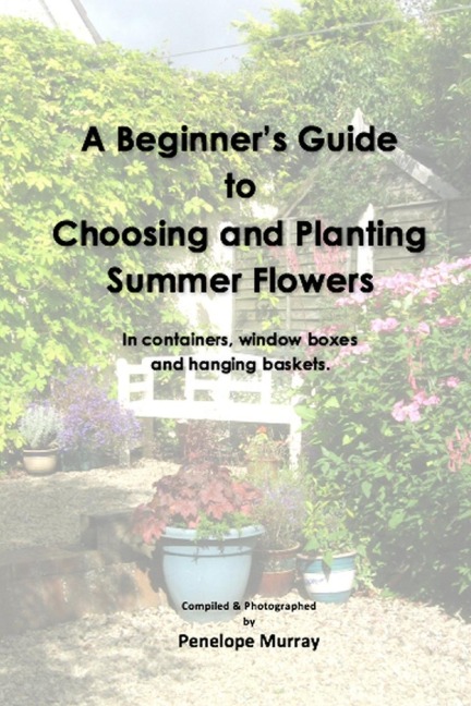 A Beginners Guide to Choosing and Planting Summer Flowers