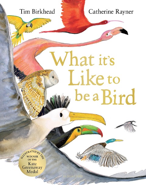 What its Like to be a Bird