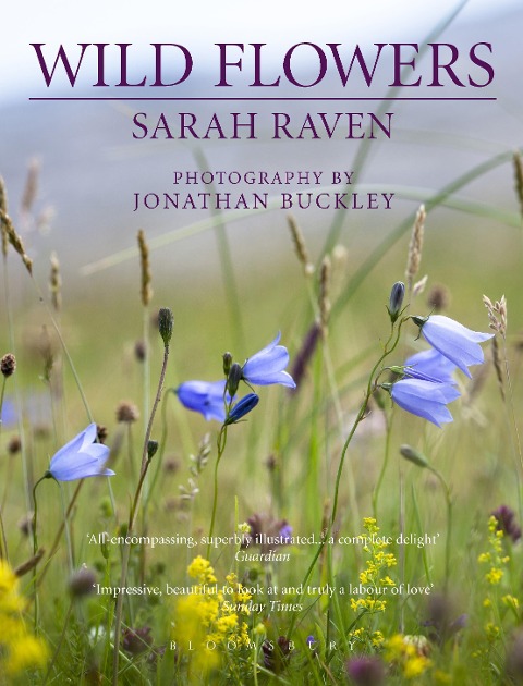 Sarah Ravens Wild Flowers
