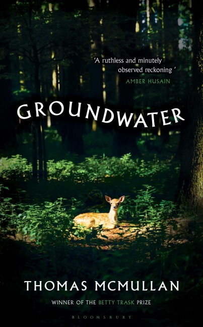 Groundwater: Complex, chilling, masterful Financial Times