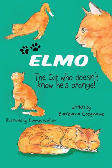 ELMO The Cat who doesnt know hes orange!