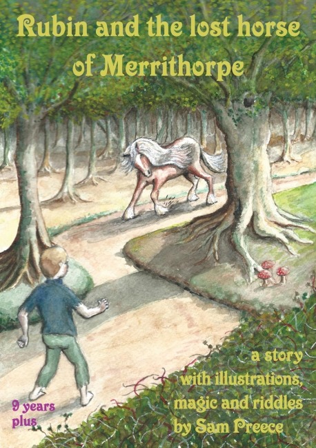 Rubin and the lost horse of Merrithorpe: A story with illustrations, magic and riddles