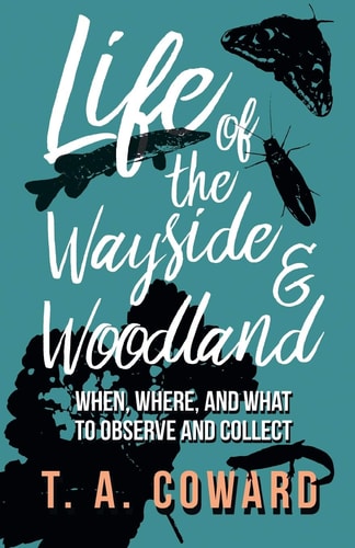 Life of the Wayside and Woodland When, Where, and What to Observe and Collect