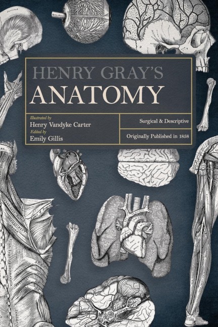 Henry Grays Anatomy: Descriptive and Surgical