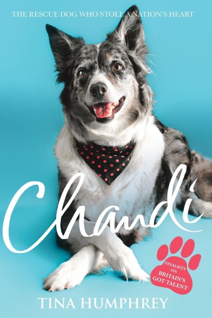 Chandi: The Rescue Dog Who Stole a Nations Heart