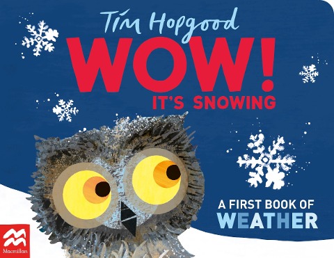 Wow! Its Snowing: A First Book of Weather