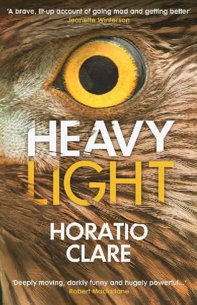 Heavy Light: A Journey Through Madness, Mania and Healing