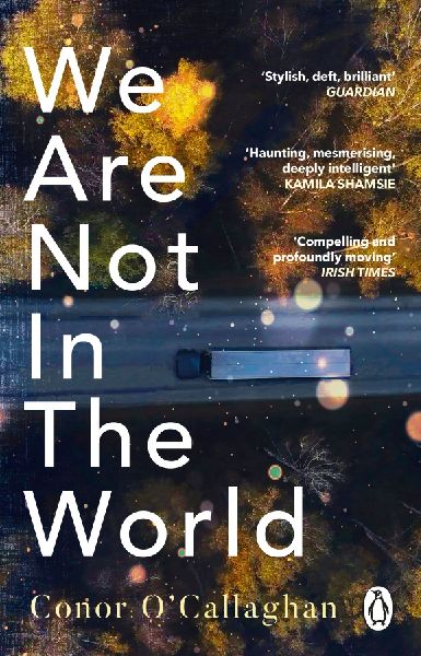 We Are Not in the World: compelling and profoundly moving Irish Times