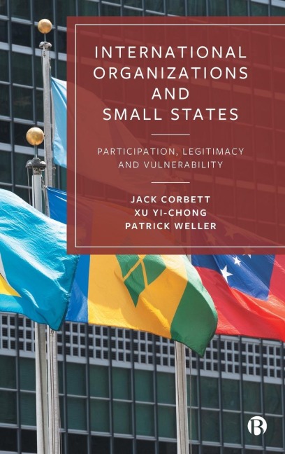 International Organizations and Small States: Participation, Legitimacy and Vulnerability