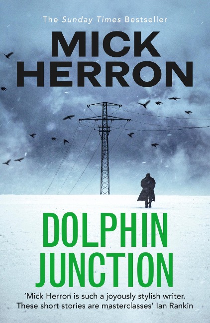 Dolphin Junction