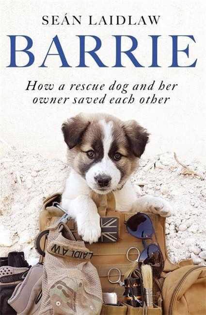 Barrie: How a rescue dog and her owner saved each other