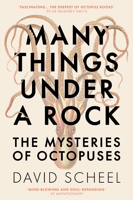 Many Things Under a Rock: The mind-blowing book that reveals the mysteries of the octopus, perfect for all science enthusiasts and fans of David Attenborough