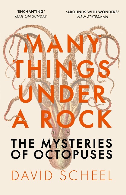 Many Things Under a Rock: The 'mind-blowing' book that reveals the mysteries of the octopus, perfect for all science enthusiasts and fans of David Attenborough
