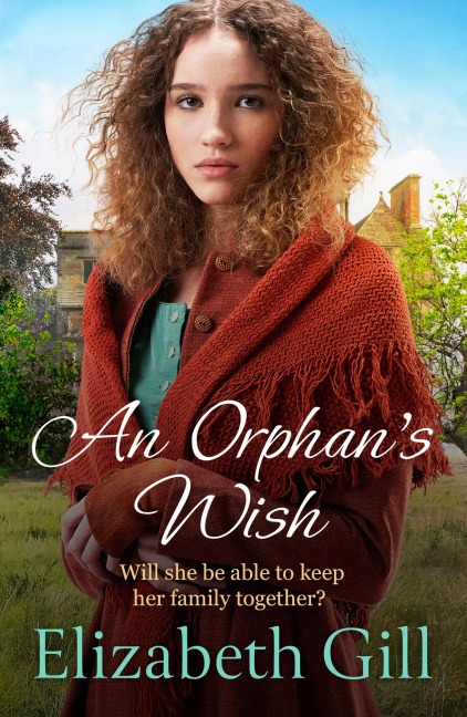 An Orphans Wish: a moving and uplifting story of one familys efforts to come together in the face of adversity