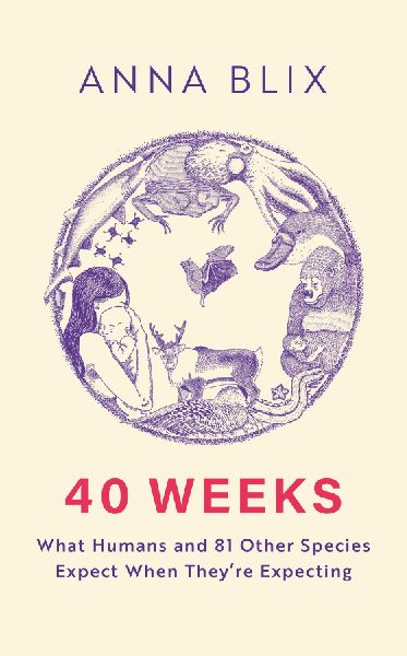 40 Weeks: What Humans and 81 Other Species Expect When Theyre Expecting