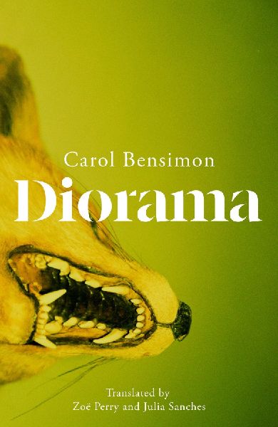 Diorama: an engrossing suspense novel set in 1980s Brazil