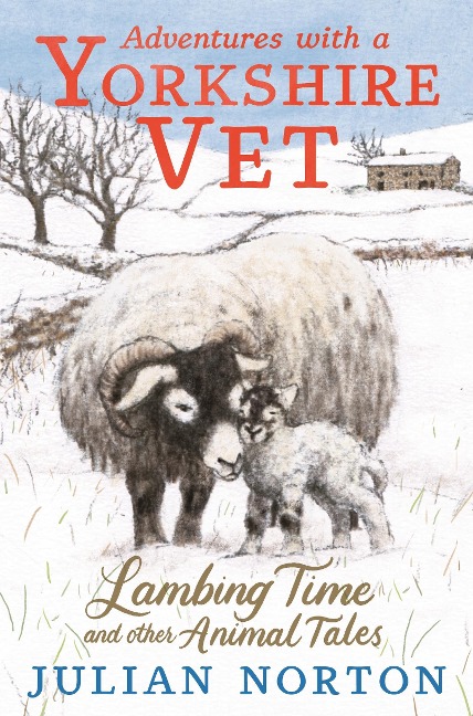 Adventures with a Yorkshire Vet: Lambing Time and Other Animal Tales: Snowy animal stories, the perfect Christmas present for 8-11 readers