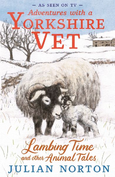 Adventures with a Yorkshire Vet: Lambing Time and Other Animal Tales: Snowy animal stories, the perfect Christmas present for 8-11 readers
