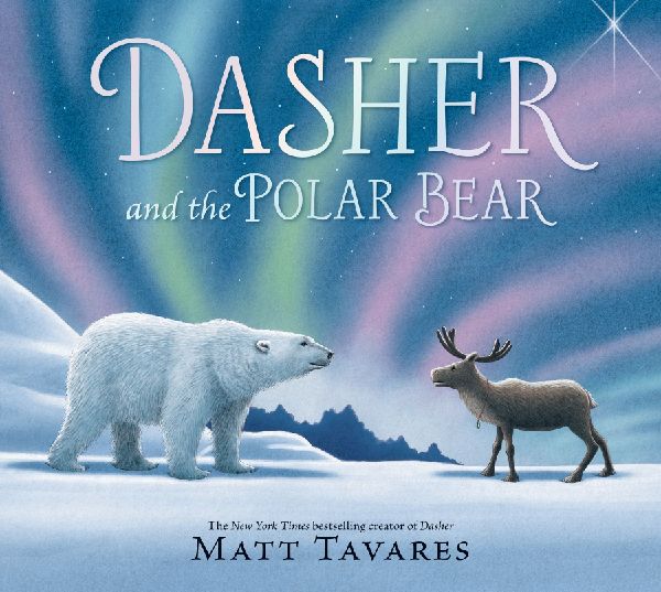 Dasher and the Polar Bear: The third Christmas classic in Matt Tavares series starring kind reindeer Dasher, full of festive, magical wonder for ages 3-7