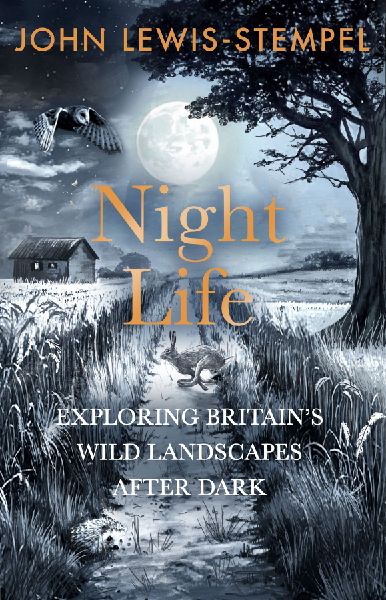 Night Life: Walking Britain's wild landscapes after dark