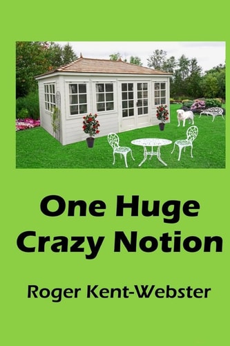 One Huge Crazy Notion A Romantic Ghost and Reincarnation Novel