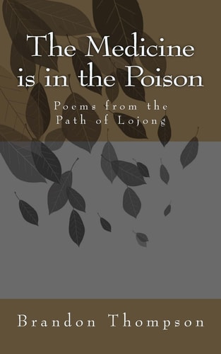 The Medicine Is in the Poison Poems from the Path of Lojong