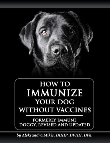 How to Immunize Your Dog Without Vaccines Formerly Immune Doggy, Revised and Updated