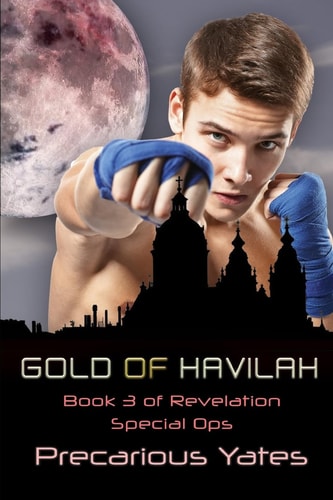 Gold of Havilah