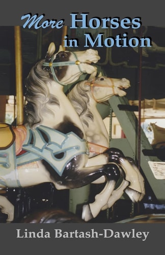 More Horses in Motion A Second Look at Carousels in Monroe County, New York