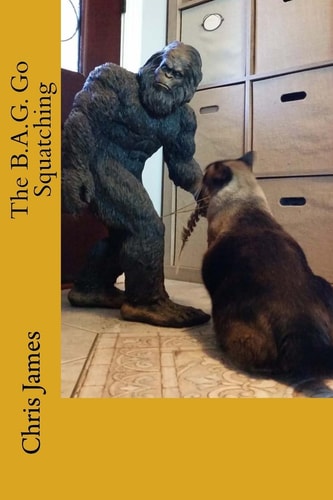 The B. A. G. Go Squatching