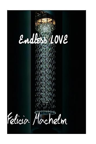 Endless Love Love Novel