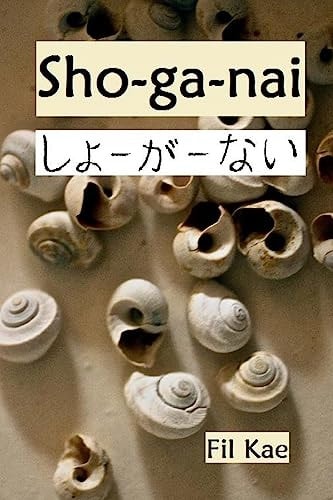 Sho-Ga-Nai A Time in America When the Music Stopped
