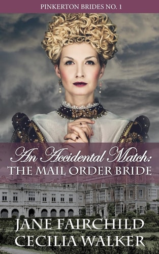 An Accidental Match The Mail Order Bride