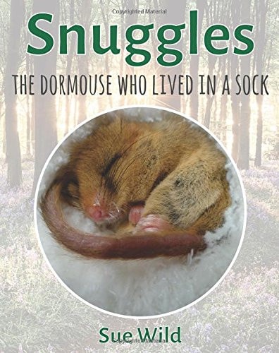 Snuggles The Dormouse Who Lived In A Sock.