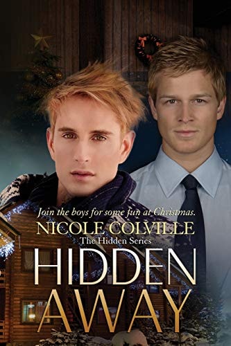 Hidden Away The Hidden Series