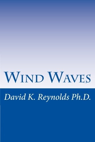 Wind Waves